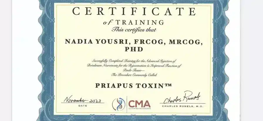nadia yousri certificate jpg
